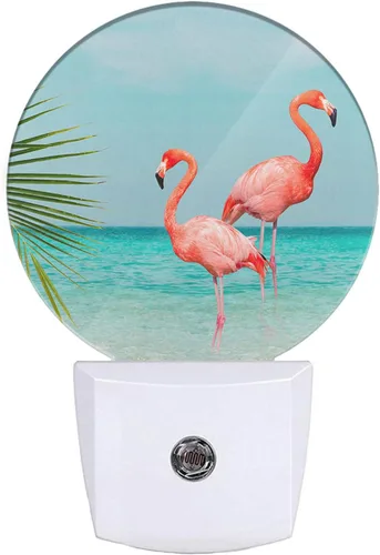 Vista 18 de EKOBLA Bonita luz nocturna de oso, bonito patrón de oso blanco enchufable a la pared con sensor de atardecer a amanecer, luz nocturna LED de 0.5 W