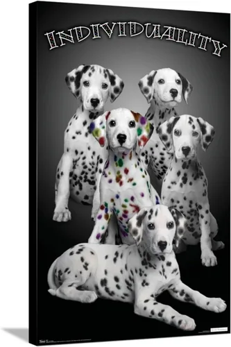 Vista 5 de Trends International Keith Kimberlin - Póster de pared de lienzo individual de cachorros dálmatas con manchas