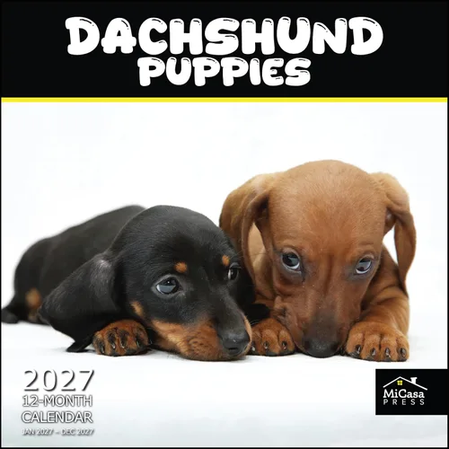 Vista 51 de MICASA PRESS Calendario de pared de Australian Shepherds Aussies 2027 02 - Pastores australianos