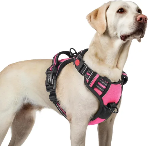 Vista 45 de Rabbitgoo - Arnés para perro de tamaño pequeño, arnés para mascotas sin tirones con 3 hebillas, chaleco acolchado suave ajustable con mango