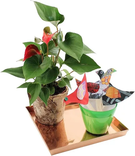 Vista 2 de Achla Designs Bandeja cuadrada, 10", cobre