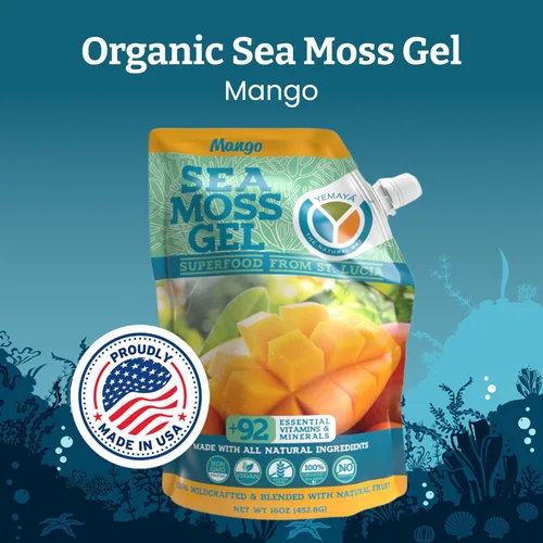 Vista 2 de Yemayá - Gel orgánico de musgo marino con mango Gel de masa marina silvestre mejorado con fruta real, energía, digestión, cabello, piel y uñas