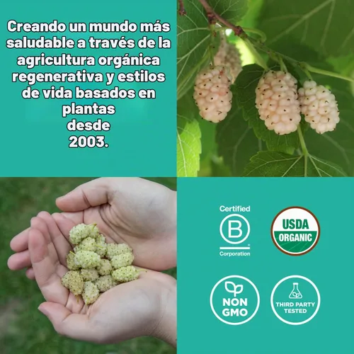 Vista 5 de Moras orgánicas Navitas Naturals