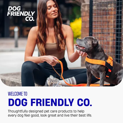 Vista 6 de Dog Friendly Co. Correa clásica para perro Sin tensiones, resistente a los golpes, evita sacudidas, mantiene el control Material impermeable