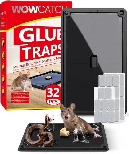Vista 10 de Wowcatch Trampas adhesivas para ratones para interiores para el hogar, paquete de 12 trampas de pegamento para cucarachas, arañas, lagartos