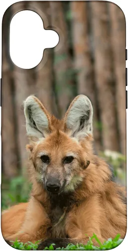 Vista 28 de Funda para iPhone 13 Pro Max Maned Wolf
