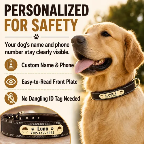 Vista 2 de Collar de cuero para perro personalizado con placa de nombre grabable - Collar con etiqueta de identificación duradera - Collar para perro