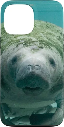 Vista 24 de Manatee Case for iPhone 17