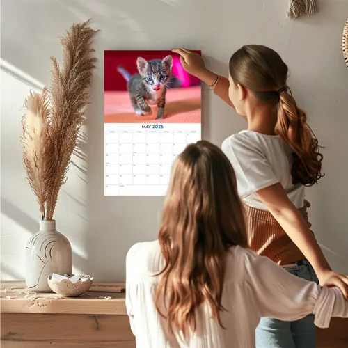 Vista 540 de Calendario de grises africanos 2025 2026 – Planificador mensual de pared de aves africanas – 12 x 18 pulgadas (abierto), calendario de pared