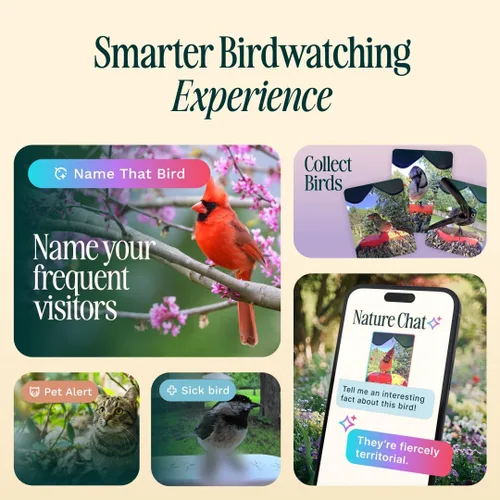 Vista 8 de Birdbuddy PRO Comedero Inteligente para Aves sin Energía Solar con Cámara - Identificación de Especies de Aves por IA, Fotos de 5MP, Cámara