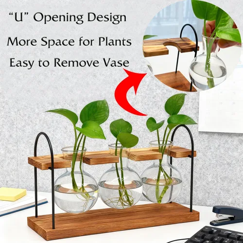 Vista 4 de Terrario para plantas con soporte de madera, el mejor regalo para los amantes de las plantas, estación de propagación con bombillas de vidrio retro