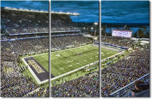 Vista 10 de TUMOVO MetLife Stadium - Decoración de pared de Nueva York, 3 piezas, lienzo, arte de pared para decoración del hogar, juegos de fútbol americano