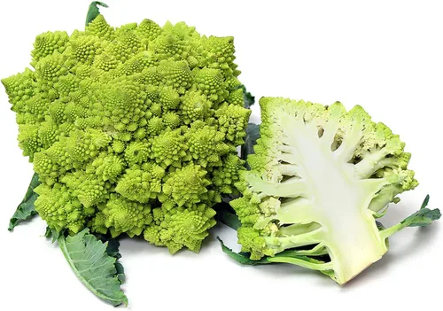 Vista 2 de UtopiaSeeds Romanesco Seeds - Semillas Romanesco de Brócoli - Semillas de coliflor Romanesco