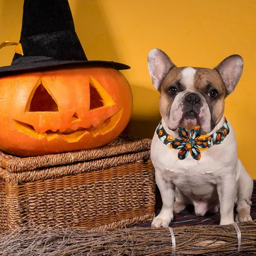 Vista 4 de Collar de perro de Halloween con lazo de girasol, calabaza festiva y collar espeluznante para mascotas pequeñas, medianas y grandes cachorros