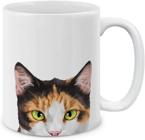 Vista 12 de MUGBREW Taza de té de cerámica bicolor blanco y naranja con gato atigrado Gatito, 11 oz