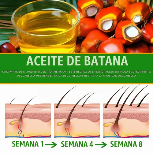 Vista 3 de KMSH Aceite de batana 100% puro para cabello, 2 onzas, aceite de masaje natural para cabello seco, dañado y encrespado, aceite de cabello