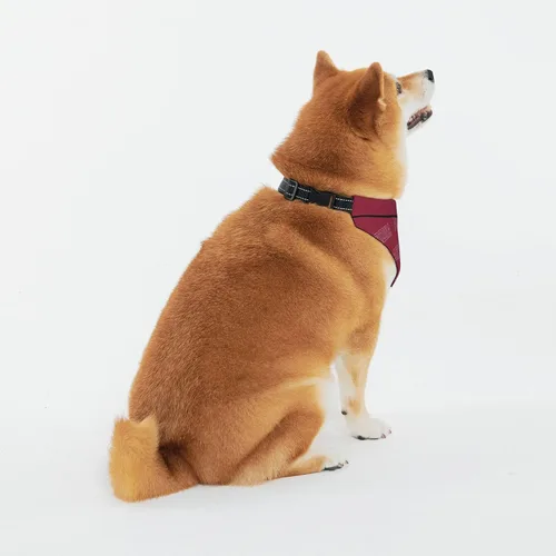 Vista 3 de Arizona Pet - Pañuelo personalizado para perros y gatos