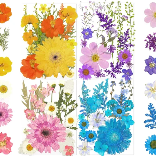 Vista 10 de Más de 170 pétalos de hojas de flores secas prensadas para manualidades, hermosas flores prensadas margaritas para joyas de resina, flores
