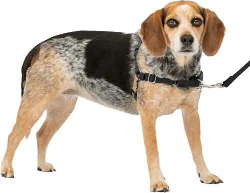 Vista 37 de PetSafe Easy Walk - Arnés para perro, sin tirones, gris carbón Carbón/Negro