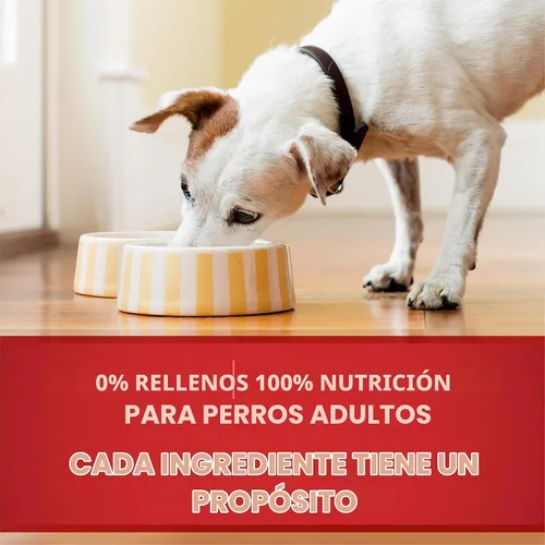 Vista 8 de Purina ONE - Paté natural, Paquete variado de comida húmeda enlatada para perros, SmartBlend Chicken Entree & Beef Entree - (6) latas de 13 oz.