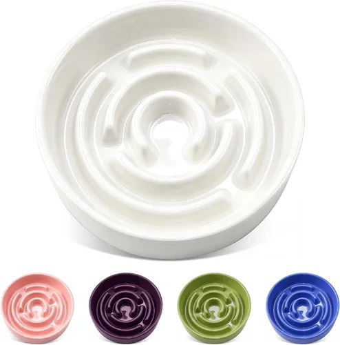Vista 10 de TRUVIC Ceramic Slow Feeder Dog Bowl Small Breed Maze Cat Bowl (Blue)