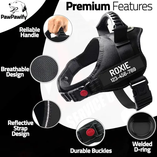 Vista 3 de Arnés de perro personalizado anti tirón con nombre y número de teléfono personalizados de PawPawify, arnés resistente para evitar tirones, Negro