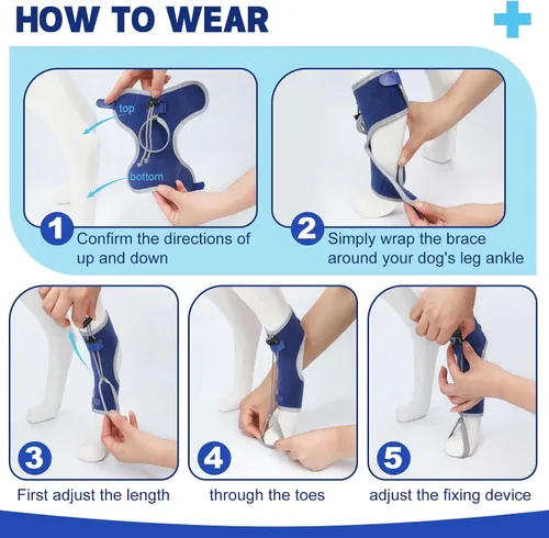 Vista 3 de Muñuelos para perros para hiperflexión de falanges causada por daño del nervio ciático y deformidad flexional carpiano - Correas de bloqueo dobles