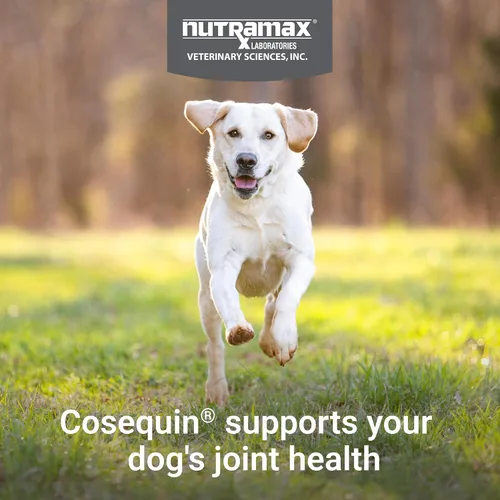 Vista 3 de Nutramax Cosequin Dog Joint Supplement, Skin & Coat, Soft Chews, 60ct
