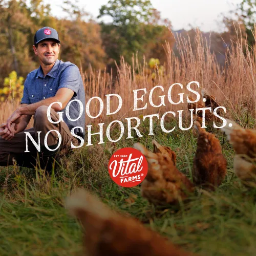 Vista 5 de Vital Farms Huevos enteros líquidos criados en pasto, 16 onzas