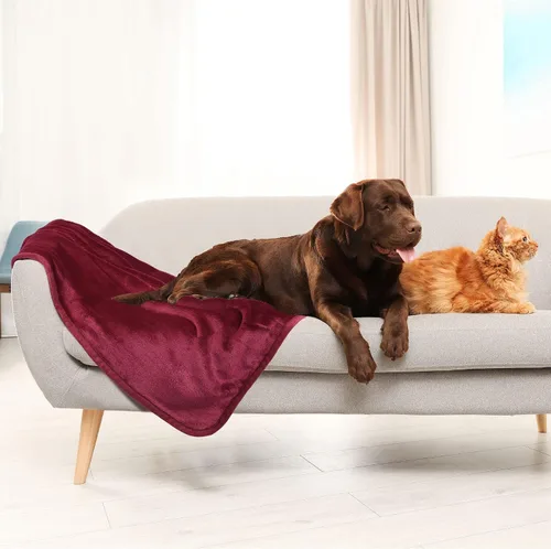 Vista 3 de PiccoCasa Manta para mascotas Manta mullida para cachorros y gatos Mantas esponjosas para perros pequeños y medianos para cama Mantas de punto