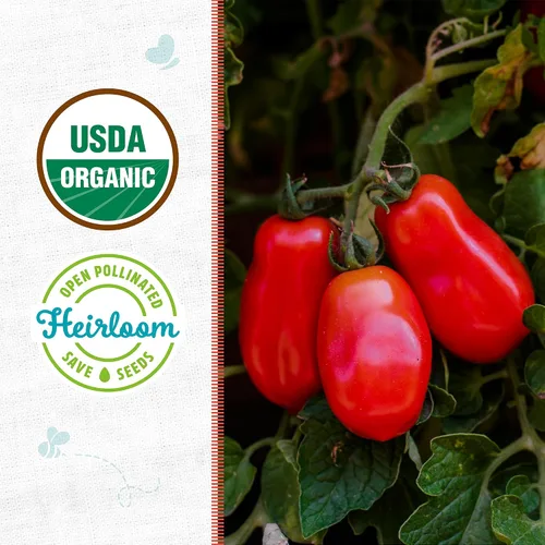 Vista 2 de Back to The Roots Paquete de semillas 100% orgánicas - Tomate 'San Marzano' 100mg