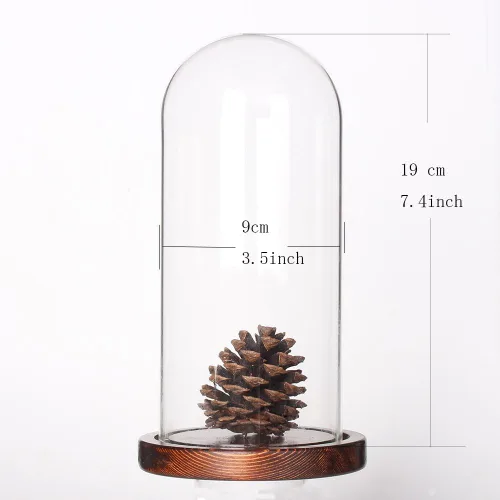 Vista 3 de Vitrina de cristal Dome Cloche - Vitrina de mesa (base de madera de café, diámetro 3.5 x 7.4 pulgadas)