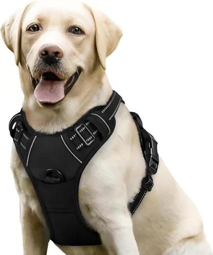 Vista 4 de Arnés para perro, arnés sin tirones para mascotas con 2 clips para correa, chaleco acolchado suave ajustable para perro, chaleco Oxford reflectante