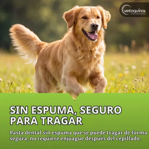 Vista 4 de Vetoquinol Enzadent Kit de pasta de dientes con cepillos para mascotas, 3.2