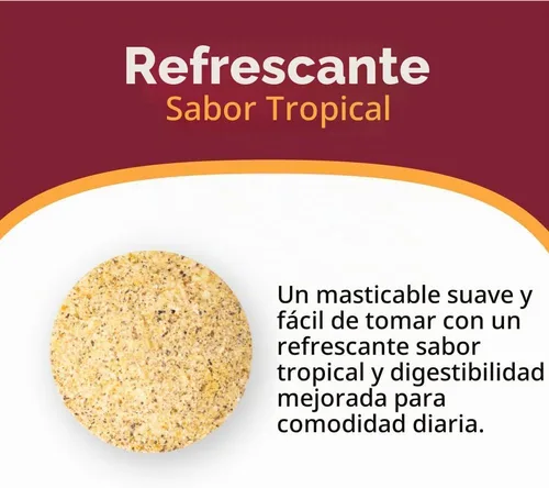 Vista 4 de Celebrate Vitamins - Masticables multicompletos, 60 mg de hierro, multivitamínico bariátrico diario para pacientes con gastrectomía de manga