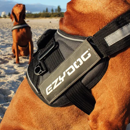 Vista 5 de EzyDog Insignia lateral – Identifica claramente a tu perro cuando llevas el arnés para perro Convert – Juego de dos insignias (Adopt Me, S)