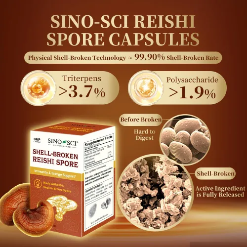 Vista 4 de Suplemento de esporas de hongos Reishi con cáscara, ayuda inmunológica, salud hepática y refuerzo de energía, 100 cápsulas (1 botella)