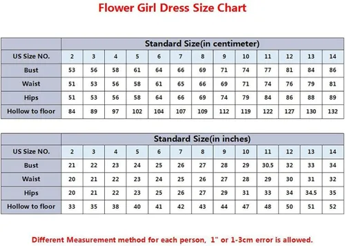 Vista 7 de Tulle Embroidered Flower Girls Dress Princess Sparkle Birthday Party Special Ocasion Dresses for Kids 2-12 Year Old
