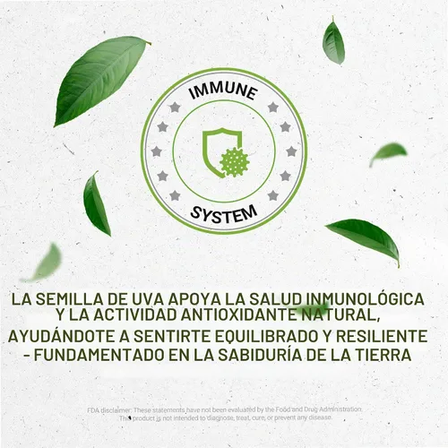 Vista 6 de Secrets of the Tribe Extracto líquido sin alcohol de tintura de semilla de uva, semilla seca de uva (Vitis Vinifera) (2 FL OZ)