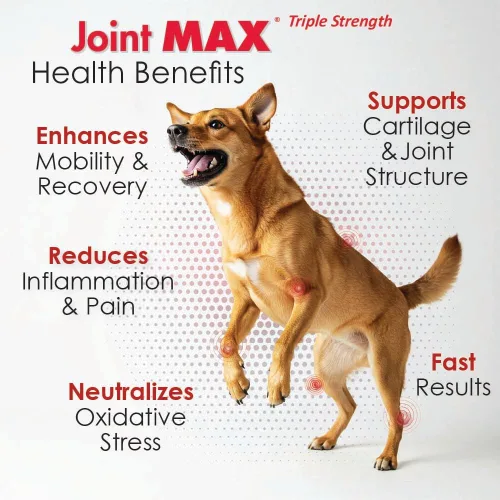 Vista 4 de PHS Joint Max Triple Strength (TS) Masticables suaves para perros, glucosamina, condroitina, MSM, cúrcuma, Omega 3, alivio del dolor de cadera
