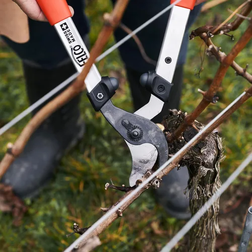 Vista 2 de FELCO F211-40 Podadoras de fabricación suiza para jardinería – Cortadoras de precisión ligeras de 16 pulgadas para podar árboles Cortadores