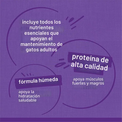 Vista 8 de Alimento húmedo para gatos de Purina