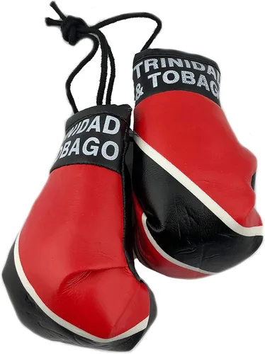 Vista 30 de Mini guantes de boxeo para colgar en el espejo del coche (Camerún)