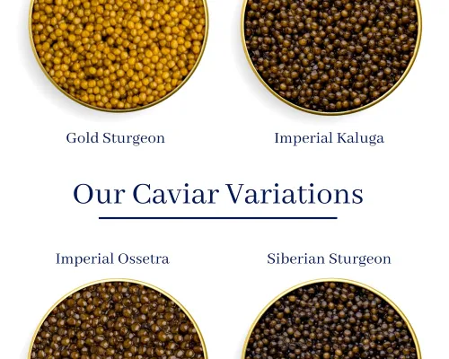 Vista 3 de Zenit Caviar Caviar negro de esturión siberiano, 8.82 oz, entrega las 24 horas, delicioso, saludable