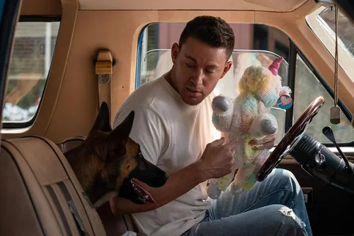 Vista 4 de Dog Das Glück hat vier Pfoten Blu-ray