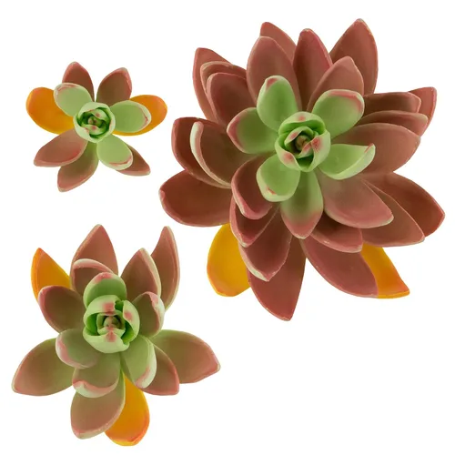 Vista 13 de Global Sugar Art Suculentas flores grandes para tarta de azúcar de Tauro con alambre, 1 unidad por el chef Alan Tetreault Gumpaste flowers for