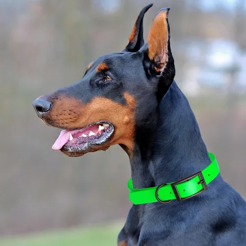 Vista 30 de Dogline Biothane - Collar impermeable para perro con hebilla de liberación rápida, resistente cincha de nailon recubierta con resistente y a prueba