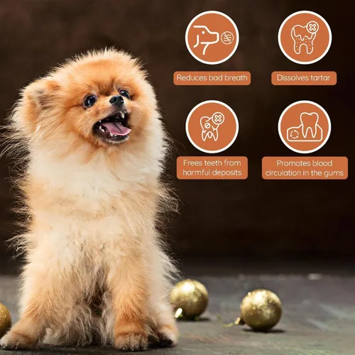 Vista 8 de Wildfang® Palitos masticables de madera de olivo para perros, pequeños, juguetes masticables resistentes para masticadores agresivos, juguetes