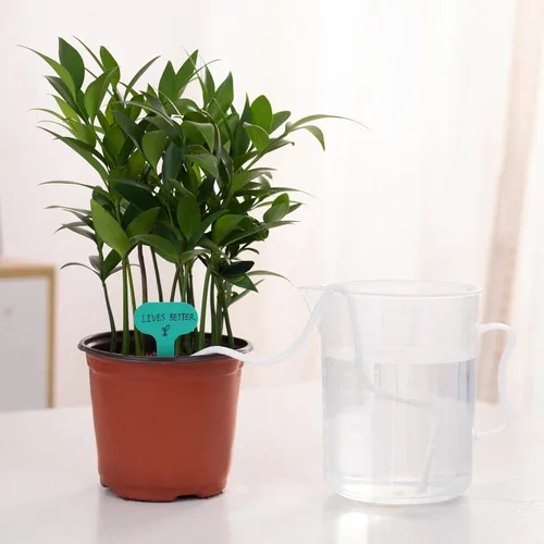 Vista 3 de ORIMERC 4.5m de cordón capilar de mecha de autorriego para vacaciones, cuidador de plantas de bricolaje, dispositivo de sistema de agua automático