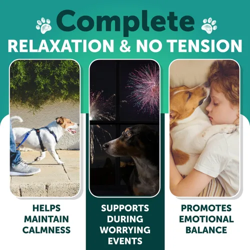 Vista 2 de Masticables calmantes de cáñamo para perros, masticables calmantes para perros, golosinas para aliviar la ansiedad del perro con aceite de cáñamo